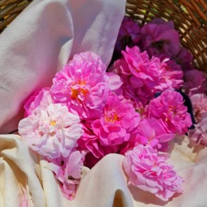 TÓNICO FACIAL DE AGUA DE ROSAS