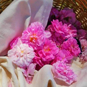 TÓNICO FACIAL DE AGUA DE ROSAS
